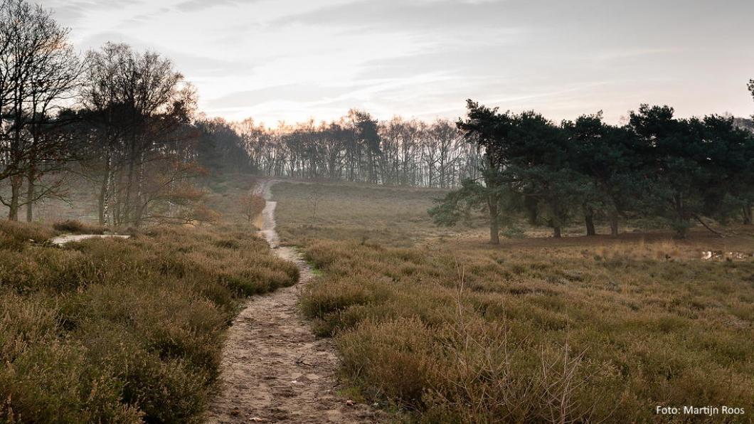 Een foto van de Hatertse vennen.